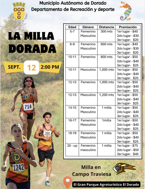 Promo-Milla-Dorada
