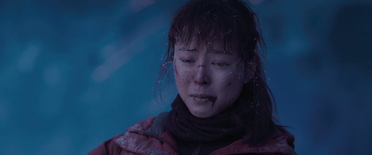 Wings Over Everest Screenshot