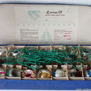 IMG-5593