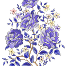 9282bbbcd8a569cac0dd1ef9c4b067b7