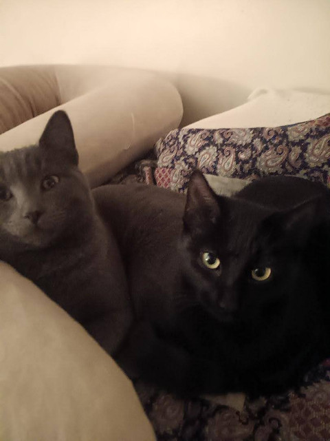 twobros