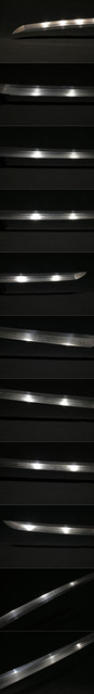 DSC5959.jpg