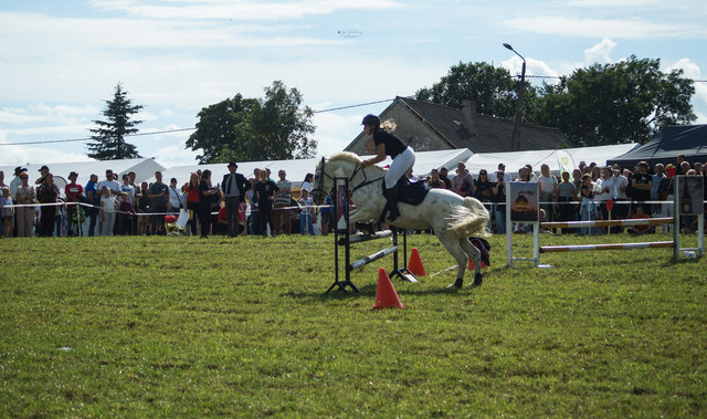 DSC05462.jpg