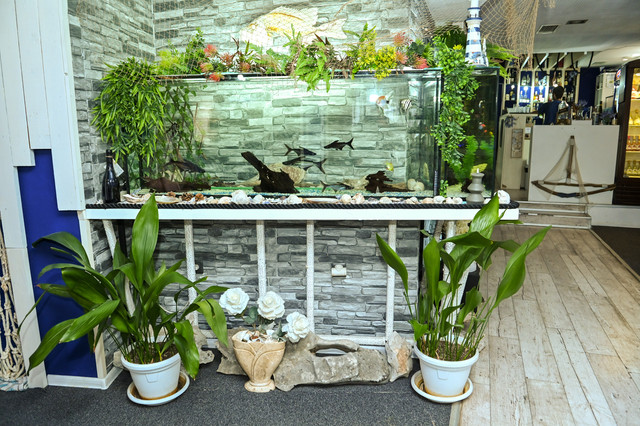 pic-1.jpg