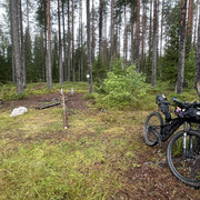 IMG 4501