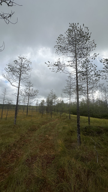 IMG 4538.jpg