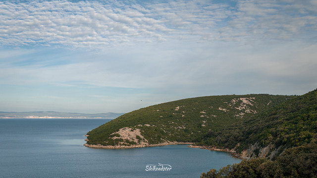 Rab 02042.jpg