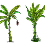 shutterstock 1892596933