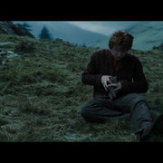harry3