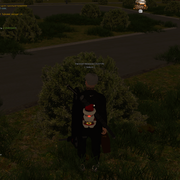 36