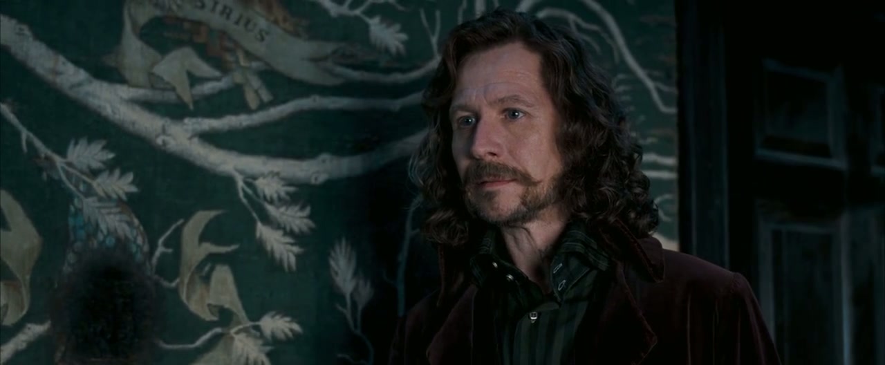 Harry Potter and the Order of the Phoenix Screenshot