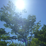 P1340073