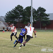 IMG-0646