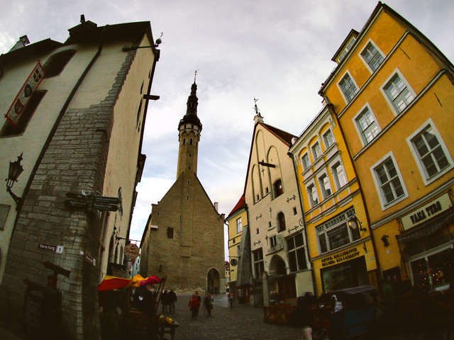 P1010659a.jpg