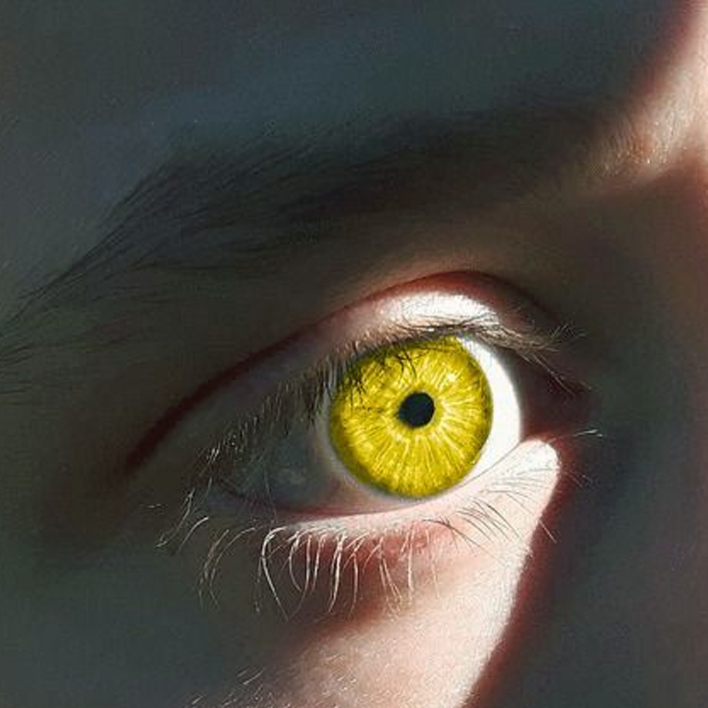 Untitled-5.png