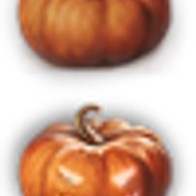 kNsxBQq1