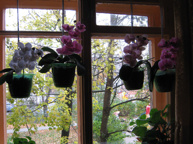 IMG-6132.jpg