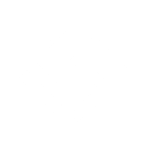 Search Icon