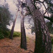 RE-Camera