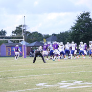 IMG-0318
