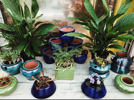 Plants-Des-Moines