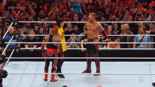 [IMAGE:https://i.ibb.co/zXd29py/wwe-nuts-kick.gif]