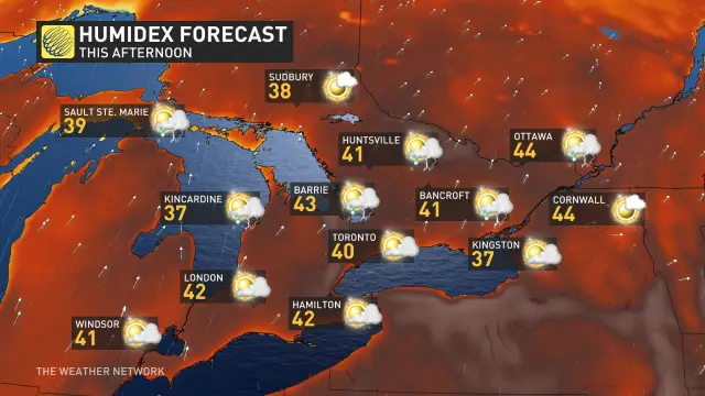 Baron-Tuesday-humidex