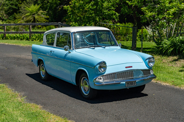 Little Blue.jpg