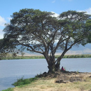 DSC02195