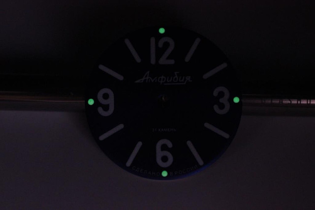 IMG-4442.jpg