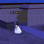 image005
