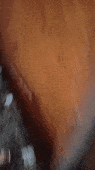 GIF-230125-083404.gif