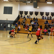 IMG-0206