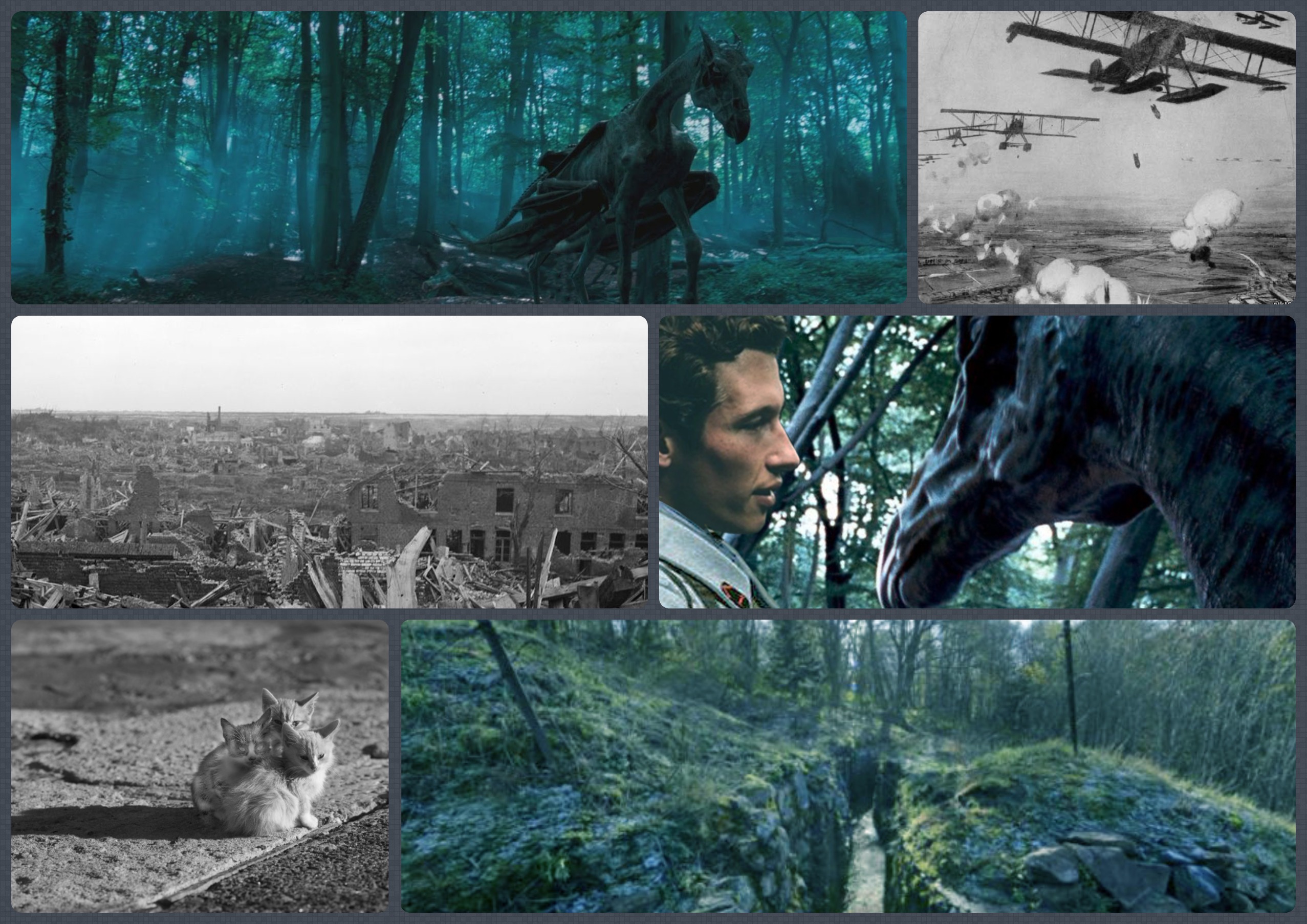 My-Collages.jpg