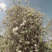 RE-Camera