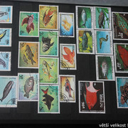 IMG-2235