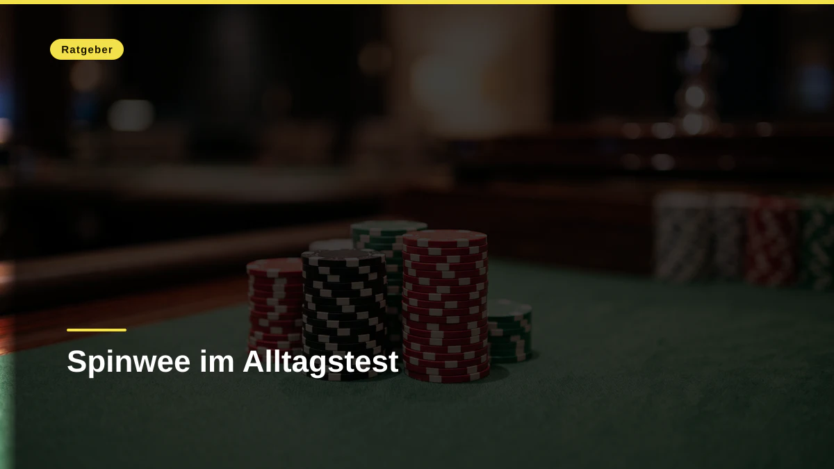 Spinwee im Alltagstest