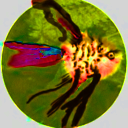 angeli3.png
