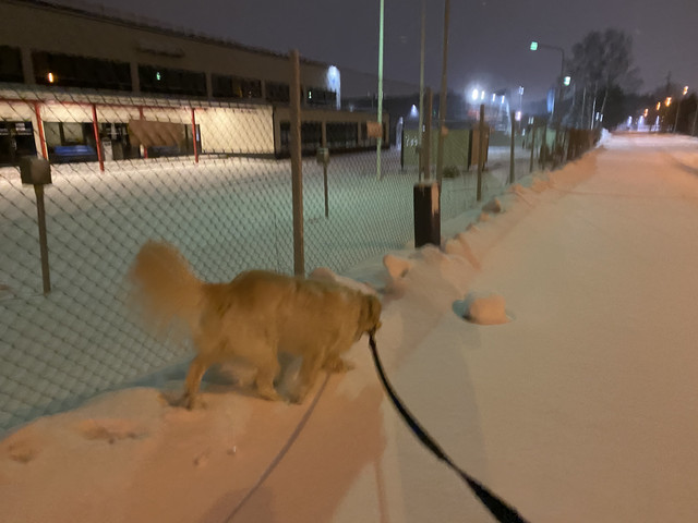 52-D2-FFD6-C38-A-4306-B876-95-B08-CE26-E