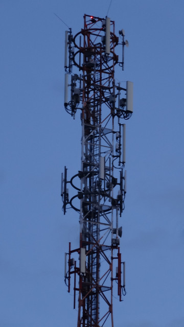 DSC01017