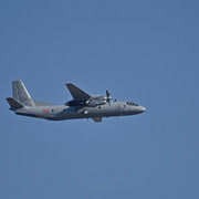 DSC-0081