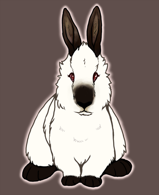 Kyle-bunbun.png