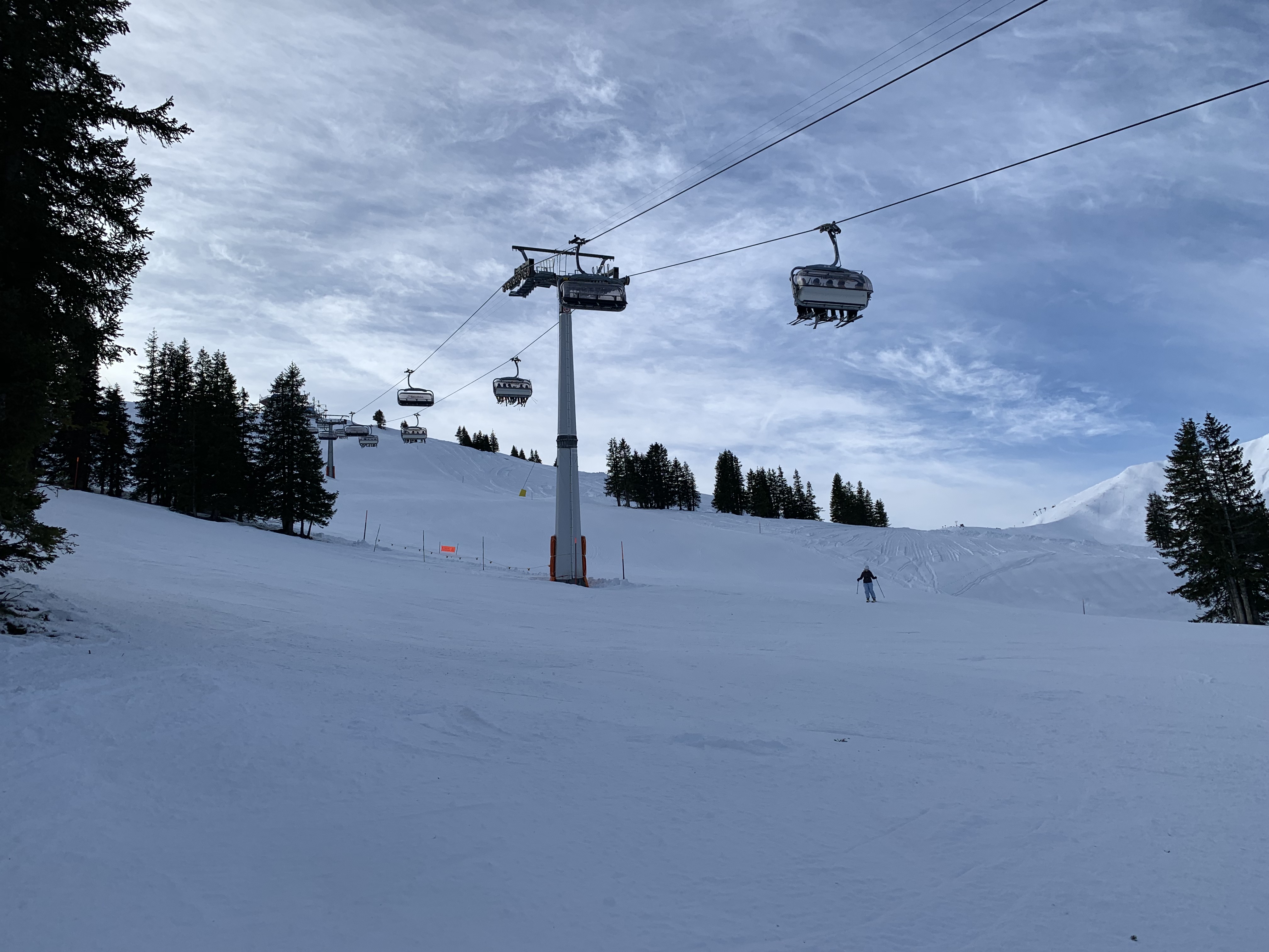 IMG-0598.jpg