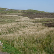 DSCF7920