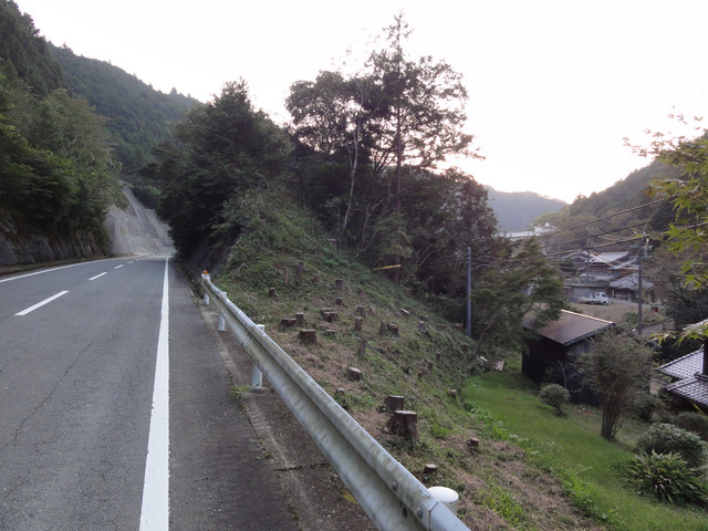 2011-10-08-68.jpg