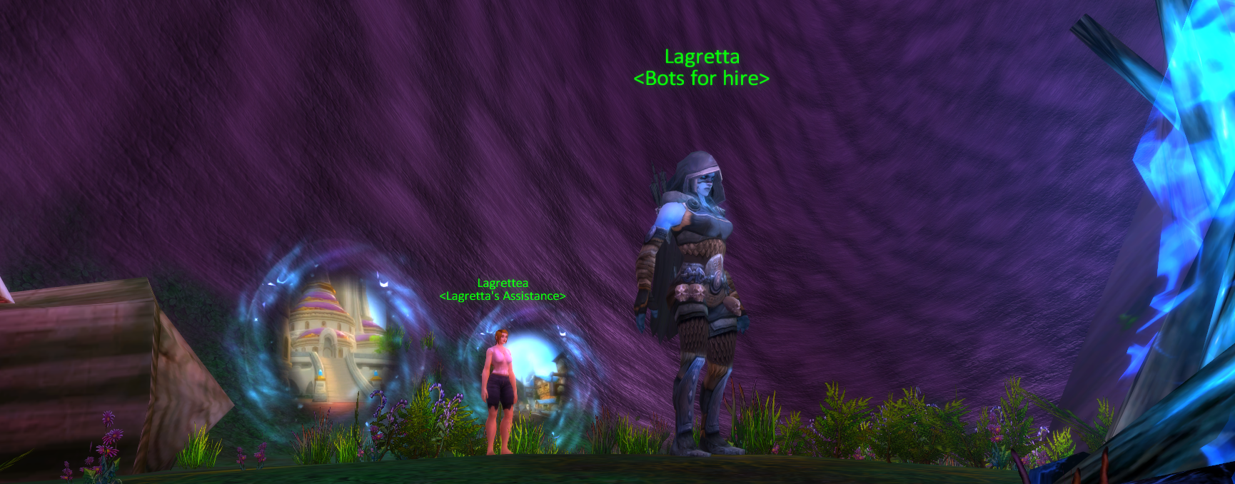 Notice About the NPC Bots