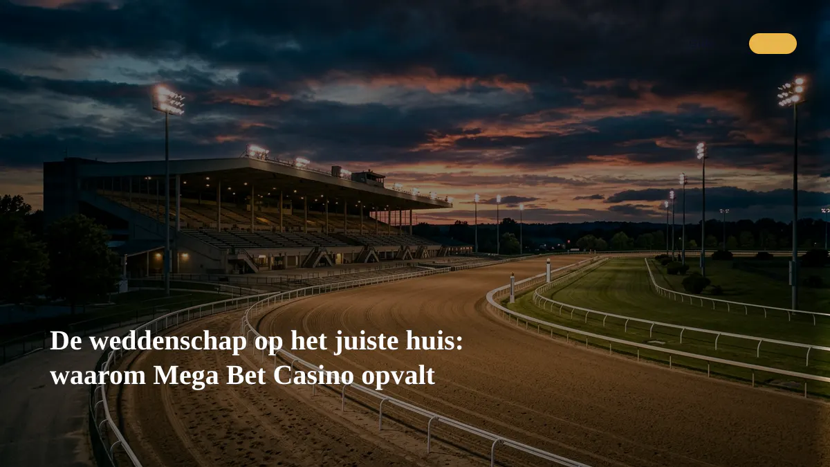 De weddenschap op het juiste huis: waarom Mega Bet Casino opvalt