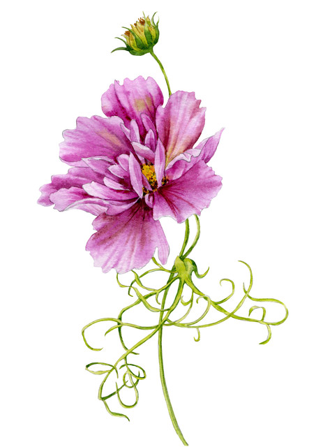 shutterstock 1500816692.jpg