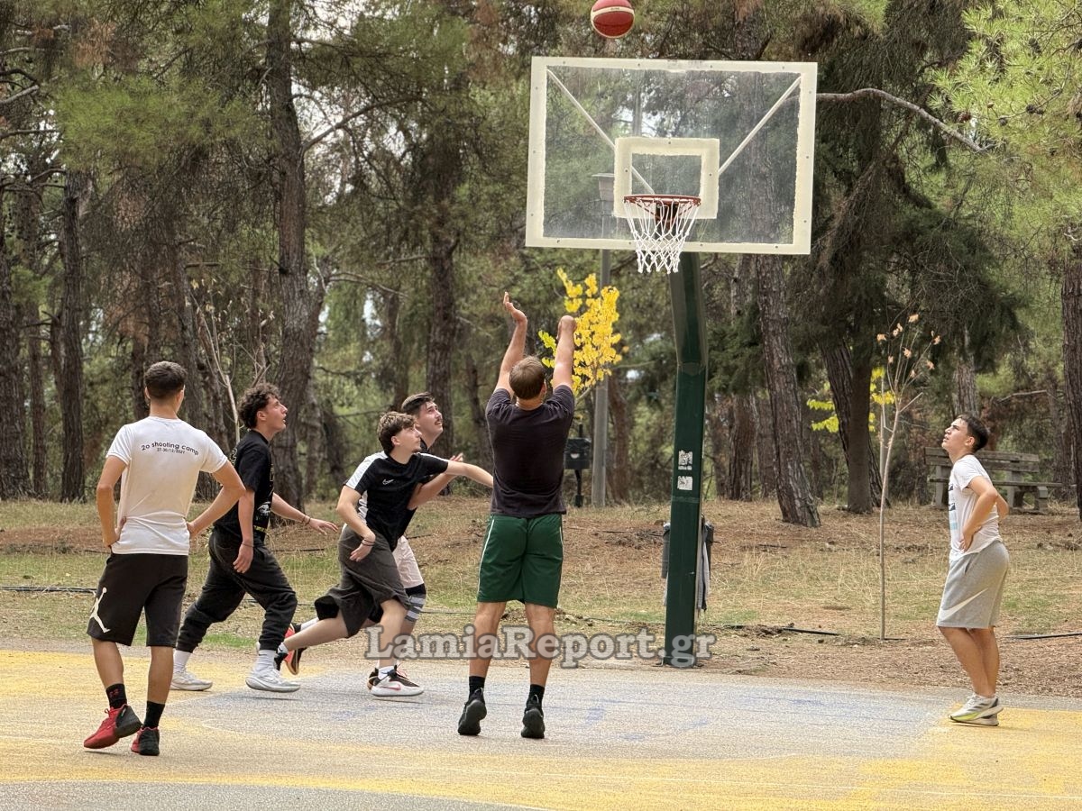 IMG 7252