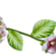 0-9916a-fa2bb0b4-M